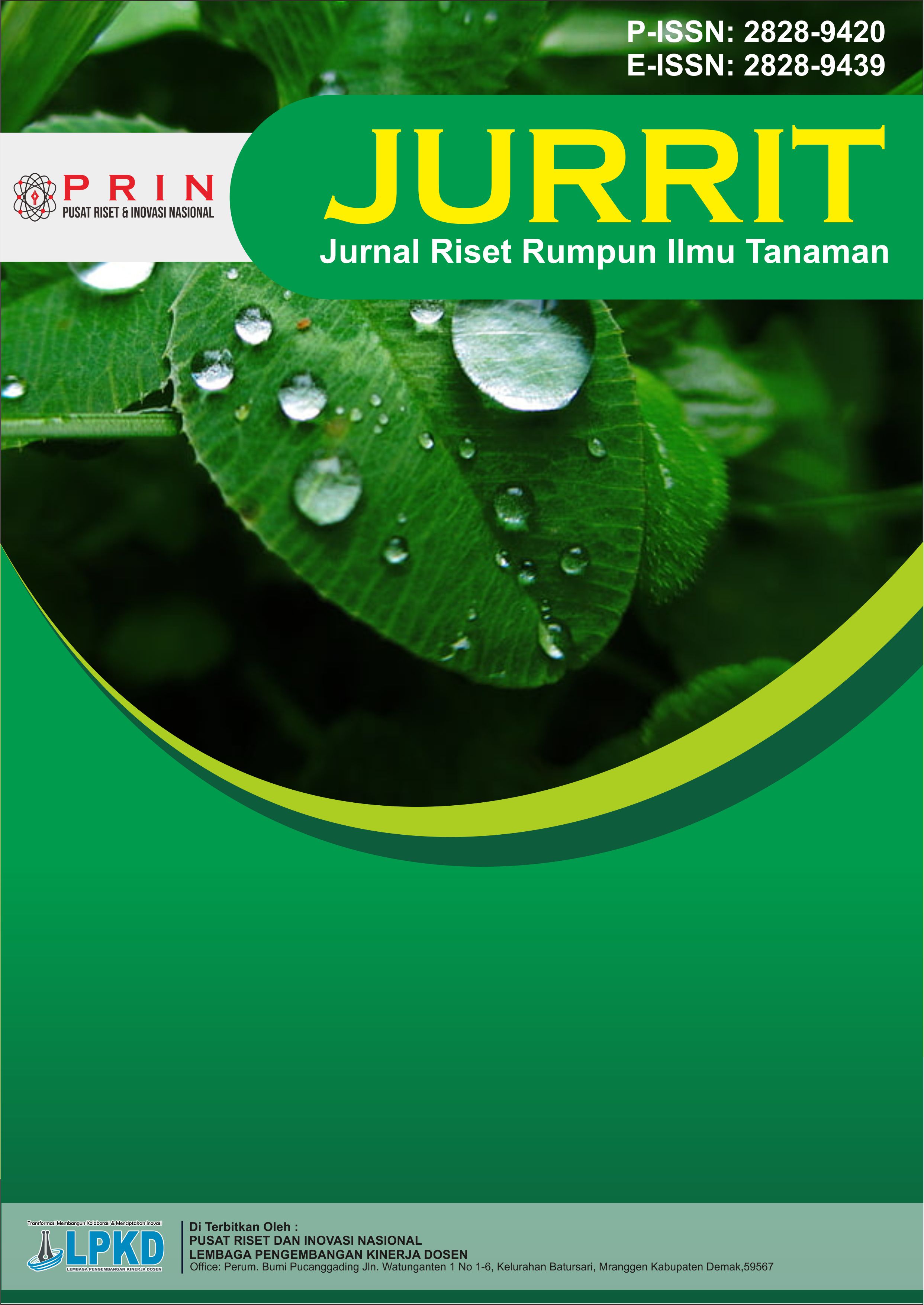 					View Vol. 5 No. 1 (2026): April: JURRIT: Jurnal Riset Rumpun Ilmu Tanaman
				